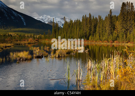 Les arbres autour d'un lac au lever du soleil, Lacs Vermillion, le mont Rundle, Banff National Park, Alberta, Canada Banque D'Images