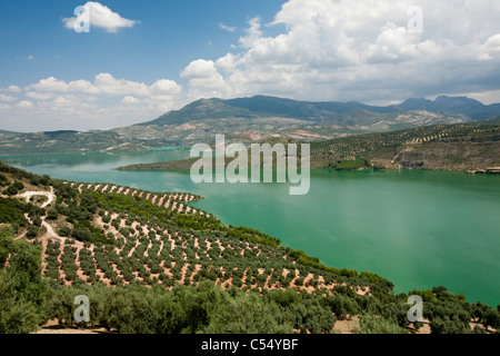 Le réservoir d'Iznajar qui alimente un hydro electric power station à proximité d'Antequera en Andalousie, espagne. Banque D'Images