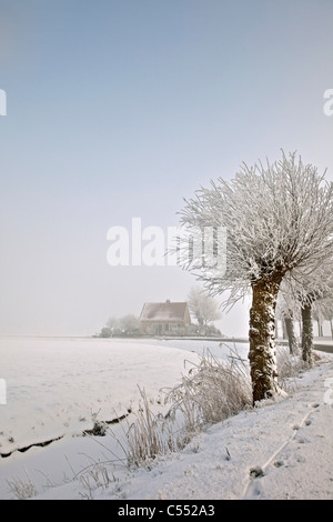 Les Pays-Bas, pays, Ferwoude road, ferme et de saules dans la neige et le gel. Banque D'Images