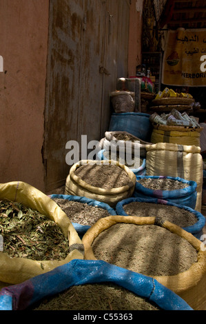 Les épices dans le marché de Rissani, Marrakech, Maroc Banque D'Images