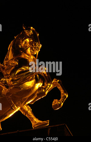 Goldener Reiter Nacht - Dresde Dresde Golden Knight nuit 17 Banque D'Images