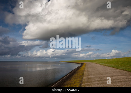 Les Pays-Bas, sur l'île d'Ameland, Buren appartenant aux îles de la mer des Wadden. Unesco World Heritage Site. digue. Banque D'Images