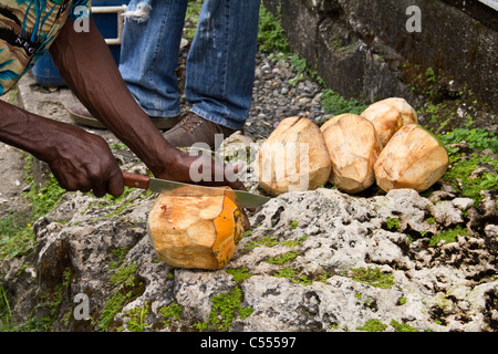 Vendre des noix de coco à Ocho Rios, Jamaïque Banque D'Images