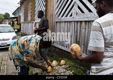 Vendre des noix de coco à Ocho Rios, Jamaïque Banque D'Images