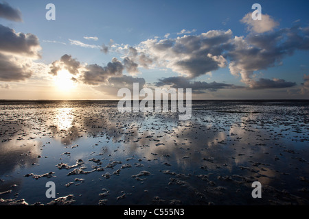 Les Pays-Bas, l'île d'Ameland, Buren, appartenant aux îles de la mer des Wadden. Unesco World Heritage Site. Les vasières. Banque D'Images