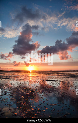 Les Pays-Bas, l'île d'Ameland, Buren, appartenant aux îles de la mer des Wadden. Unesco World Heritage Site. Les vasières. Le lever du soleil. Banque D'Images