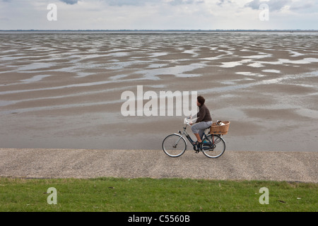 Les Pays-Bas, l'île d'Ameland, Hollum, appartenant à des îles de la mer des Wadden. Femme à vélo et chien sur digue Banque D'Images