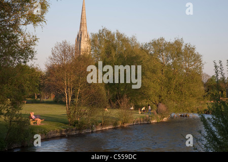 La cathédrale de Salisbury du prés de l'eau avec la rivière Avon, England, UK Banque D'Images