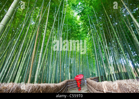 Femme marche dans une forêt de bambou, Adashino-nenbutsu-ji, Arashiyama, Kyoto Prefecture, Kinki Region, Honshu, Japan Banque D'Images