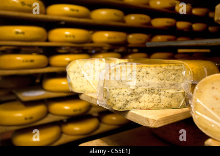 Les Pays-Bas, Eibergen, Open air museum, village historique d'Erve Kots. Fromagerie et boutique. Banque D'Images