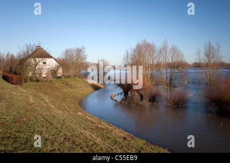 Les Pays-Bas, près de Nimègue, haut niveau d'eau de rivière appelée digue de Waal. Banque D'Images