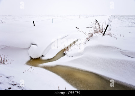 Les Pays-Bas, Uithuizen, Snow in canal Banque D'Images