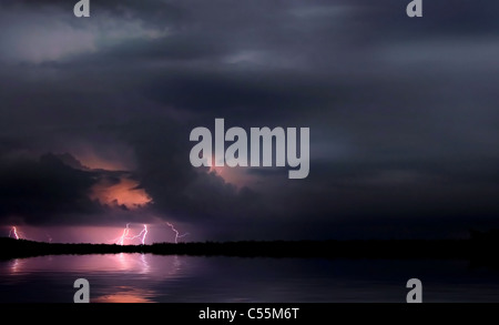 La foudre et tempête. Scène de nuit. Afrique du Sud Banque D'Images