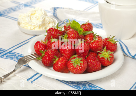 Les fraises sur un plat blanc et crème fouettée sur une nappe vintage Banque D'Images