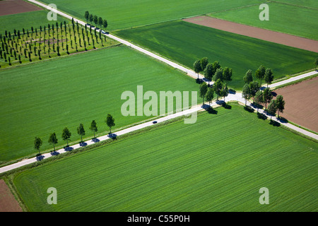 Les Pays-Bas, près de Den Bosch, traversée de la route dans les terres agricoles. Vue aérienne. Banque D'Images