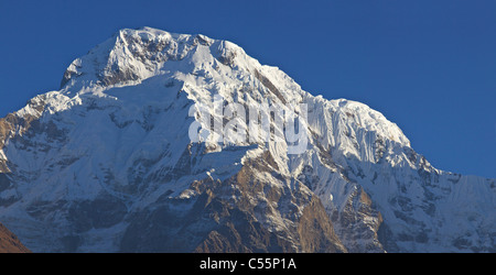 La lumière du soleil tombant sur l'Annapurna Sud vu de Ghandruk, district de Kaski, sanctuaire de l'Annapurna Himalaya, Népal, Banque D'Images