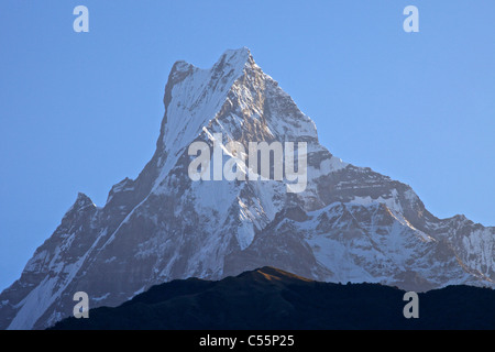 Low angle view of a mountain peak, Machhapuchhare Annapurna, Népal, Himalaya, sanctuaire Banque D'Images