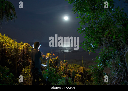 Clair de lune sur la plage de Jeffreys Bay, Afrique du Sud Banque D'Images