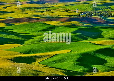 High angle view of Rolling hills, Palouse, Washington State, USA Banque D'Images