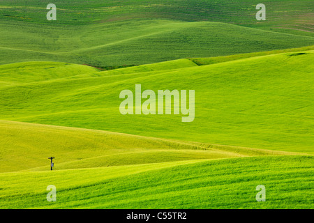 High angle view of Rolling hills, Palouse, Washington State, USA Banque D'Images