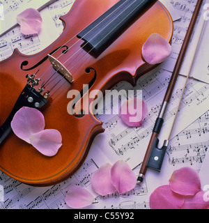 Le violon avec musique en feuilles et pétales de rose Banque D'Images