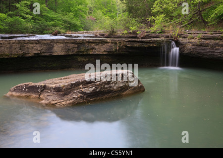 Dans un Rock Creek, Haw Creek, Haw Creek Falls, monts Ozark, Ozark National Forest, North Carolina, USA Banque D'Images