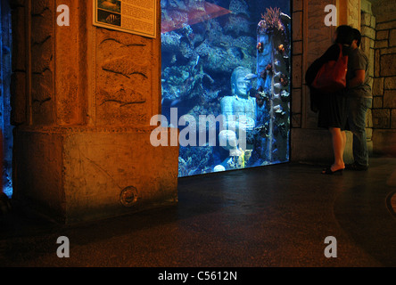 Deux touristes regarder au poissons de récifs coralliens au Mandalay Bay attraction du Mandalay Bay Resort and Casino à Las Vegas, Nevada. Banque D'Images