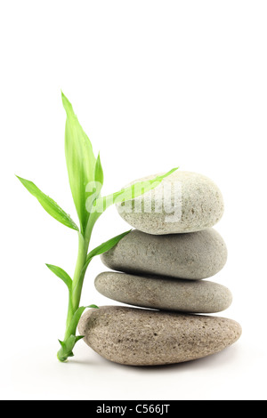 Feuilles de bambou et zen stones isolated on white Banque D'Images