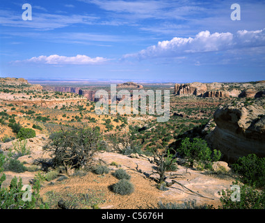 L'Outback de l'Utah à Canyonlands National Park, Utah, USA Banque D'Images