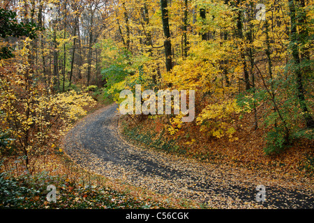 Une route asphaltée en courbe grâce à un parc luxuriant et coloré à l'automne, le sud-ouest de l'Ohio, USA Banque D'Images