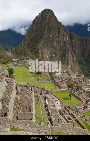 Vue sur la citadelle de Machu Picchu, Pérou Banque D'Images