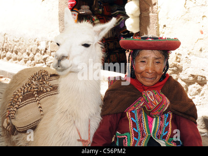 Une vieille femme péruvienne avec son alpaga Banque D'Images