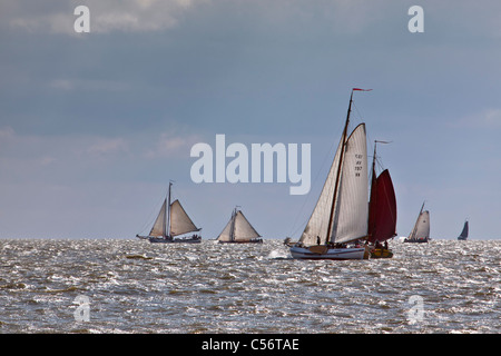 Les Pays-Bas, de Volendam. La course annuelle des bateaux à voile traditionnels appelés Pieperrace sur le lac appelé Markermeer. Banque D'Images