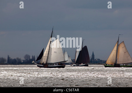 Les Pays-Bas, de Volendam. La course annuelle des bateaux à voile traditionnels appelés Pieperrace sur le lac appelé Markermeer. Banque D'Images