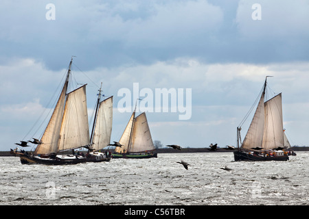 Les Pays-Bas, de Volendam. La course annuelle des bateaux à voile traditionnels appelés Pieperrace sur le lac appelé Markermeer. Banque D'Images