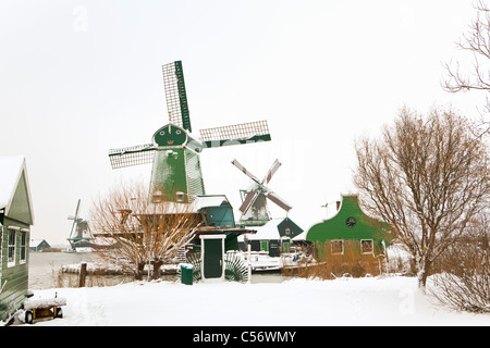 Zaanse Schans, village sur les rives de la rivière Zaan avec maisons en bois verte caractéristique, historique des moulins à vent. L'hiver, la neige. Banque D'Images