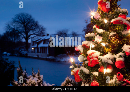 Les Pays-Bas, 's-Graveland, arbres de Noël avec des lumières dans la neige. Le crépuscule. Banque D'Images