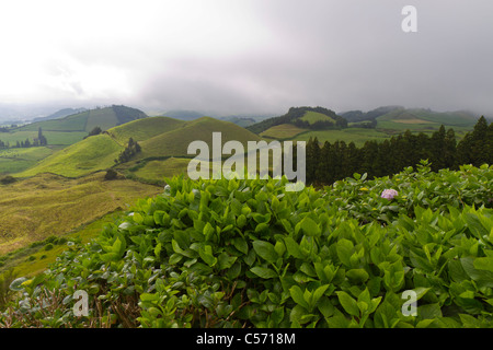 Vue depuis Pico Carvao, île de São Miguel, aux Açores. Banque D'Images