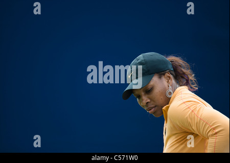 Samedi 11.06.2011. Tournoi de tennis International Aegon, Eastbourne, East Sussex. Serena Williams de USA pratiquant sur cour Banque D'Images