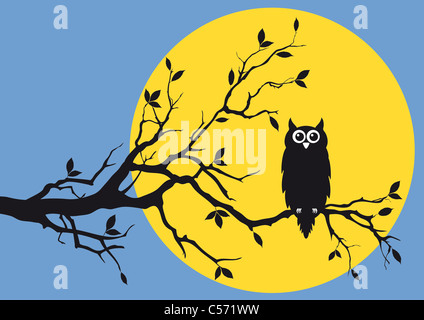 Night Owl sitting on tree branch Banque D'Images