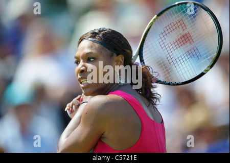 Tournoi international de tennis, Aegon 2011 Eastbourne, East Sussex. Serena Williams de USA. Banque D'Images