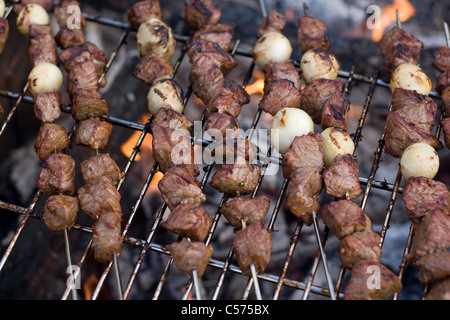 Brochettes de boeuf shish kebab la cuisson à un feu de camp à chaud. Banque D'Images