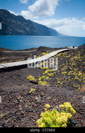 Vue depuis Faro de Teno sur Tenerife, Canaries, Espagne Banque D'Images