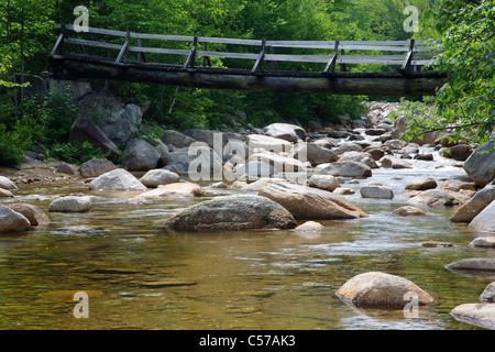 Pemigewasset Wilderness - Passerelle, qui traverse la branche est de la rivière Pemigewasset le long du sentier des chutes de Thoreau à North Fork Junction. Banque D'Images