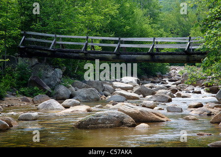 Pemigewasset Wilderness - Passerelle, qui traverse la branche est de la rivière Pemigewasset le long du sentier des chutes de Thoreau à North Fork Junction. Banque D'Images