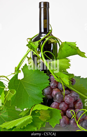 Une bouteille de vin rouge avec des feuilles et de vrilles Banque D'Images