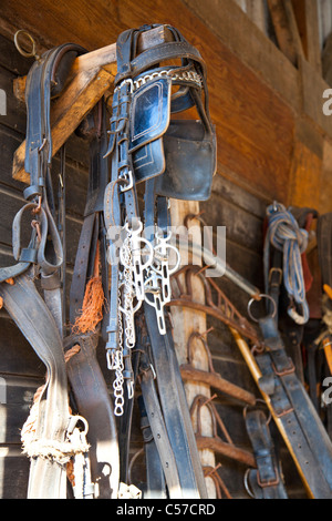 Cheval - matériel de wall in barn Banque D'Images