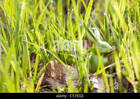 Lapin de Pâques cachés dans l'herbe haute Banque D'Images