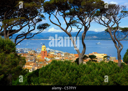 Saint-Tropez, France, Europe, Provence, Côte d'Azur, Var, village, ville, maisons, maisons, église, mer, Mer Méditerranée, arbres, pin Banque D'Images