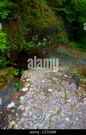 Carschenna, falaise, dessins, Suisse, Europe, canton des Grisons, Grisons, Domleschg, rock, falaise, petroglyph, rock, peinture Banque D'Images